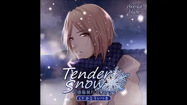 ドラマCD「 Tender Snow~感傷旅行の果てに~」(CVかとういつき)試聴版_哔哩哔哩_bilibili