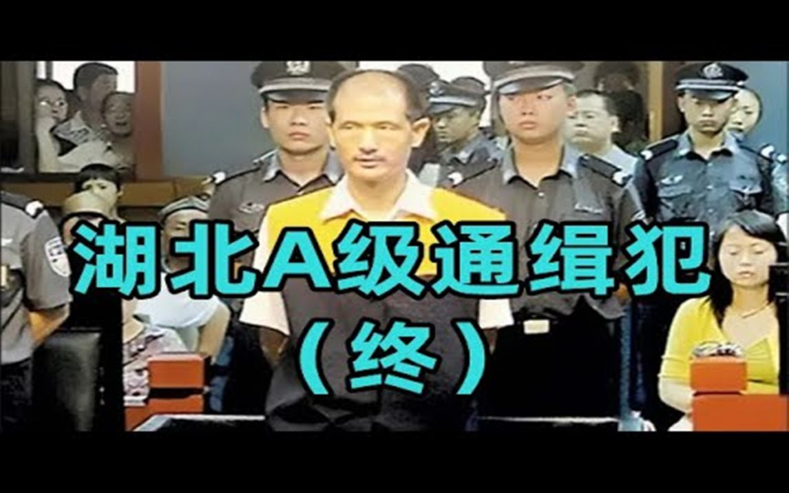 湖北武汉A级通缉犯(下),最会藏匿的亡命徒,十大大悍匪之“马汉庆”的罪孽人生  绝密档案哔哩哔哩bilibili