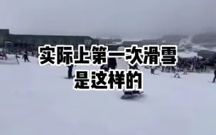 Download Video: 新手小白滑雪都是这样过来的吗？