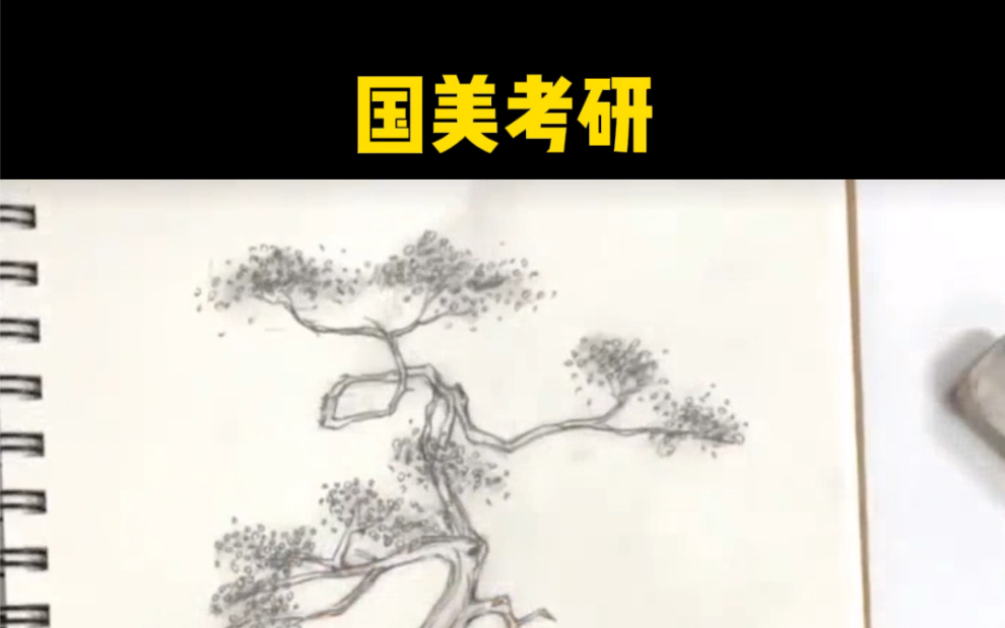 国美考研 | 建筑环艺景观快题表现 | 植物的绘制哔哩哔哩bilibili