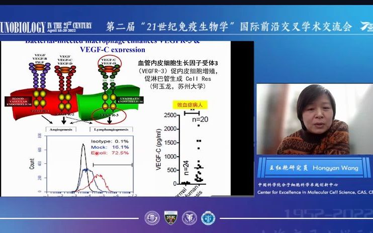 王红艳研究员肺泡巨噬细胞哔哩哔哩bilibili