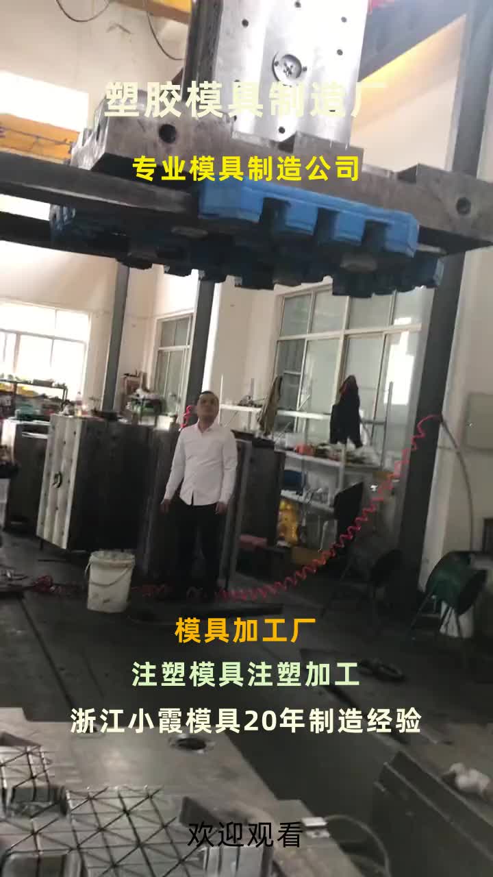专业制造注塑模具加工 大型塑胶模具厂 黄岩生产塑料模具厂家 高端