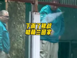 下雨了，穆叔喊萌兰回家！萌兰：怎么不给我递把伞