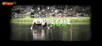 Download Video: 歌曲《人生何处不相逢》，钟明秋实力演唱