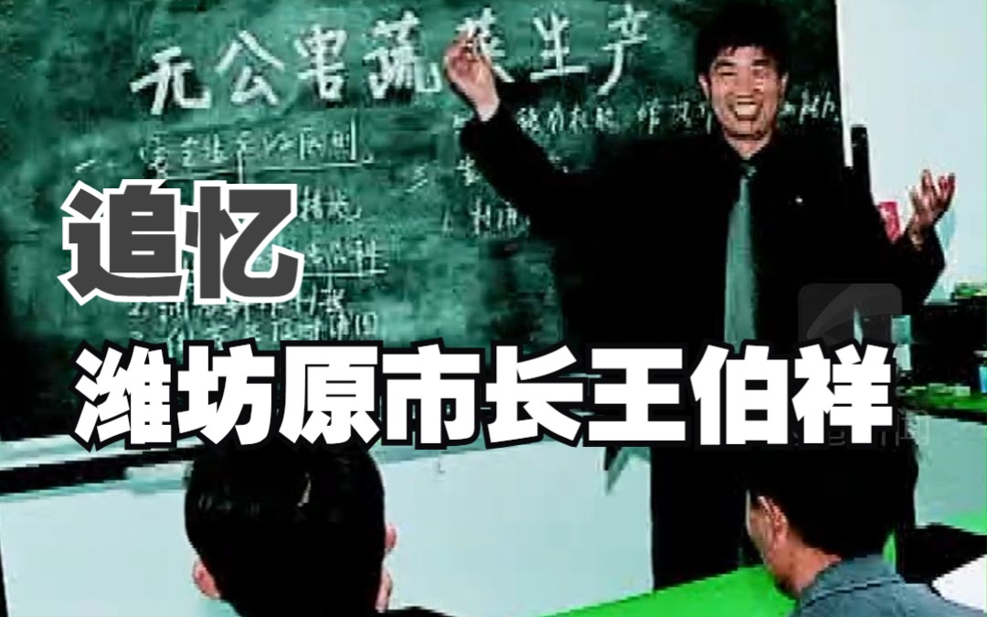 只寿光富不算富 把技术传出去让全国富 追忆潍坊市原市长王伯祥哔哩哔哩bilibili