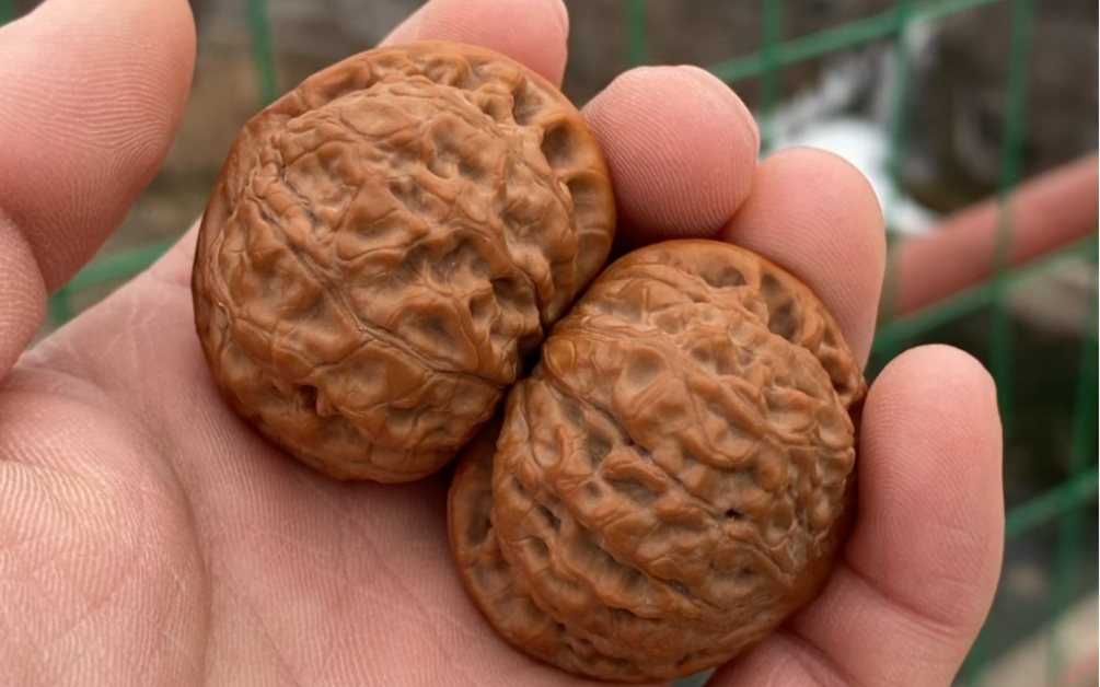 小尺寸矮桩蟒皮纹官帽