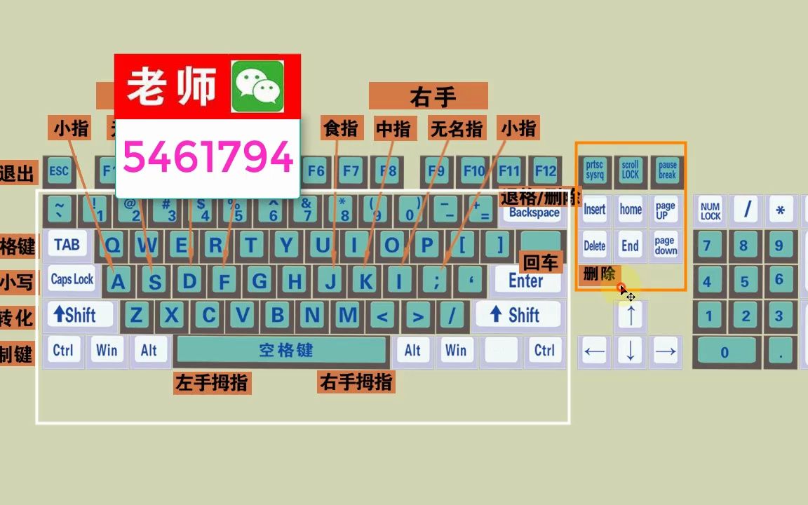 零基础学电脑打字,快速学会键盘打字,适合初学者学习