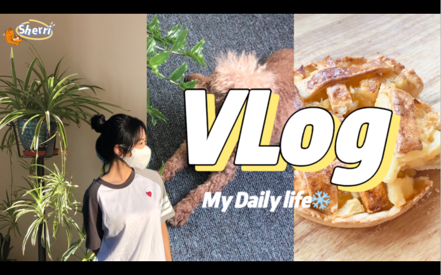 全英Vlog|乌鲁木齐|高三 居家生活|和狗狗的休闲时光|美食制作 高中生的居家生活是怎么样的?快来跟我一起看看吧~哔哩哔哩bilibili