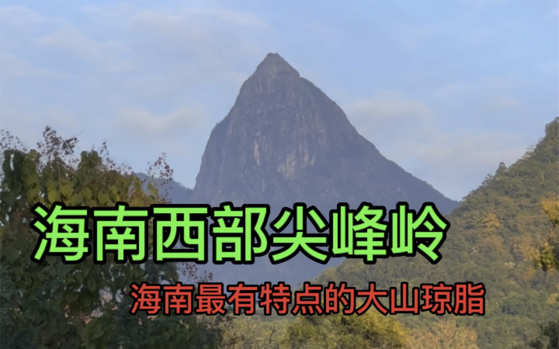 [图]2022年尾海南寻香之旅~海南西部大山尖峰岭，出产海南琼脂最有代表性的大山香。#沉香 #奇楠 #香道文化 #奇楠沉香