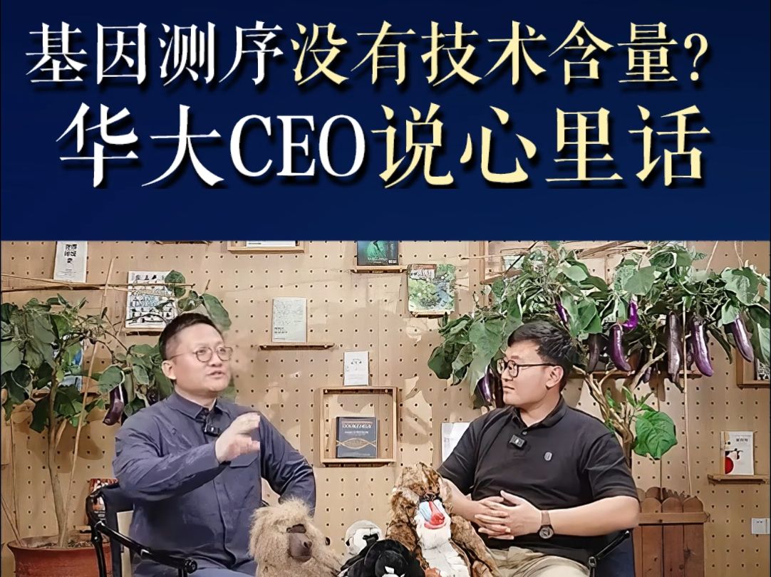 华大CEO 的心里话哔哩哔哩bilibili