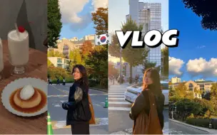 Tải video: 韩国留学VLOG｜梨花女大的秋天｜在读硕士的秋日上学日记｜韩国超市大打折｜延南洞可爱布丁