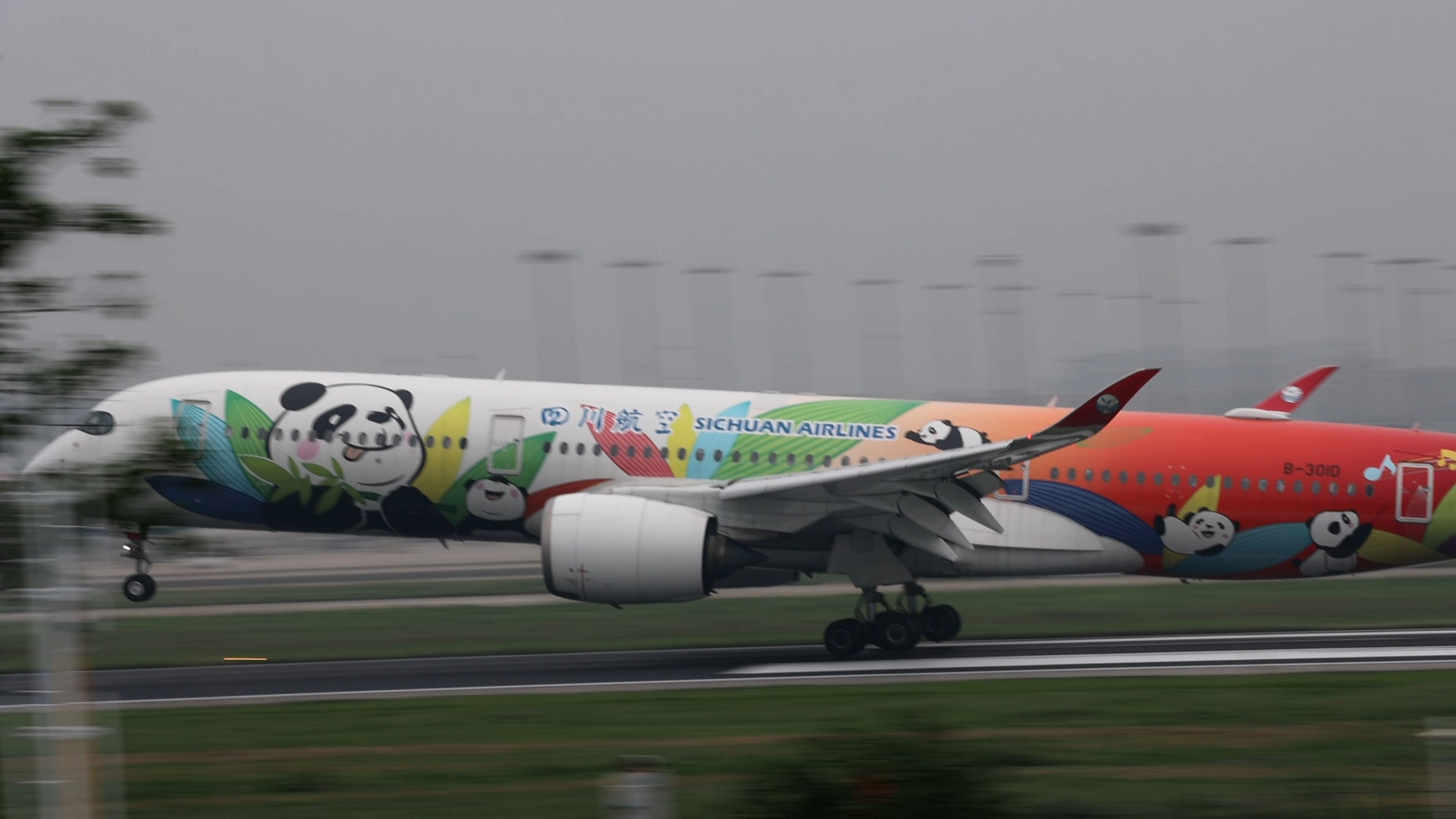 四川航空a350熊猫之路彩绘降落成都双流国际机场