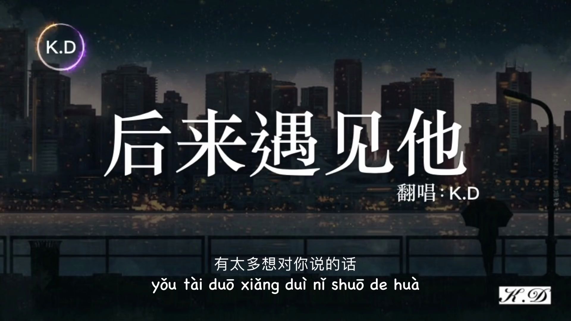 d 翻唱《后来遇见他》【后来遇见他,陪我春秋冬夏,愈合我的伤疤.】