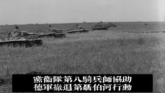 1943.9党卫军第八骑兵师协助德军撤退第聂伯河行动