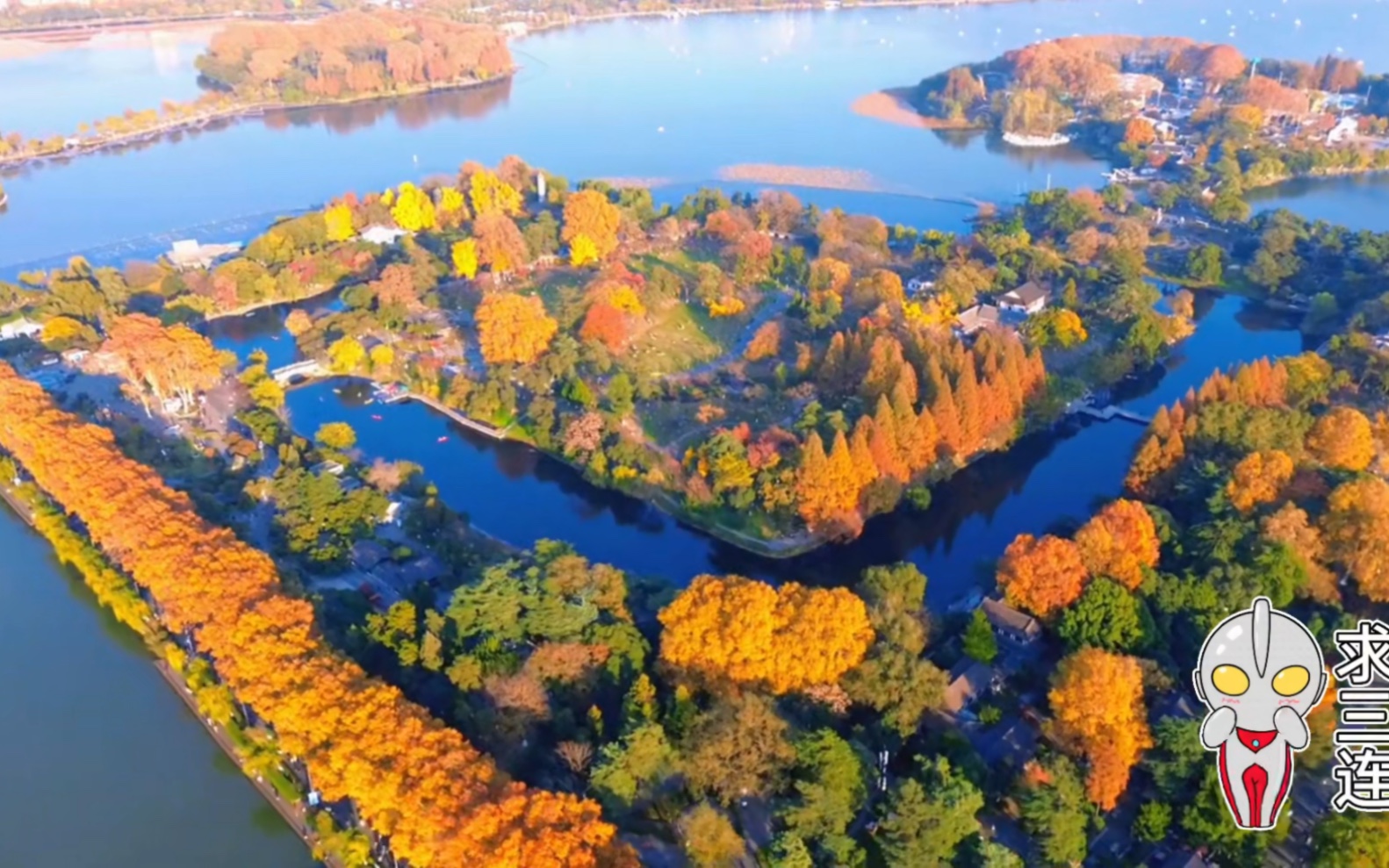 南京的秋,玄武湖公园