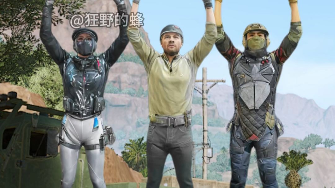 当蜂医误入猛攻队