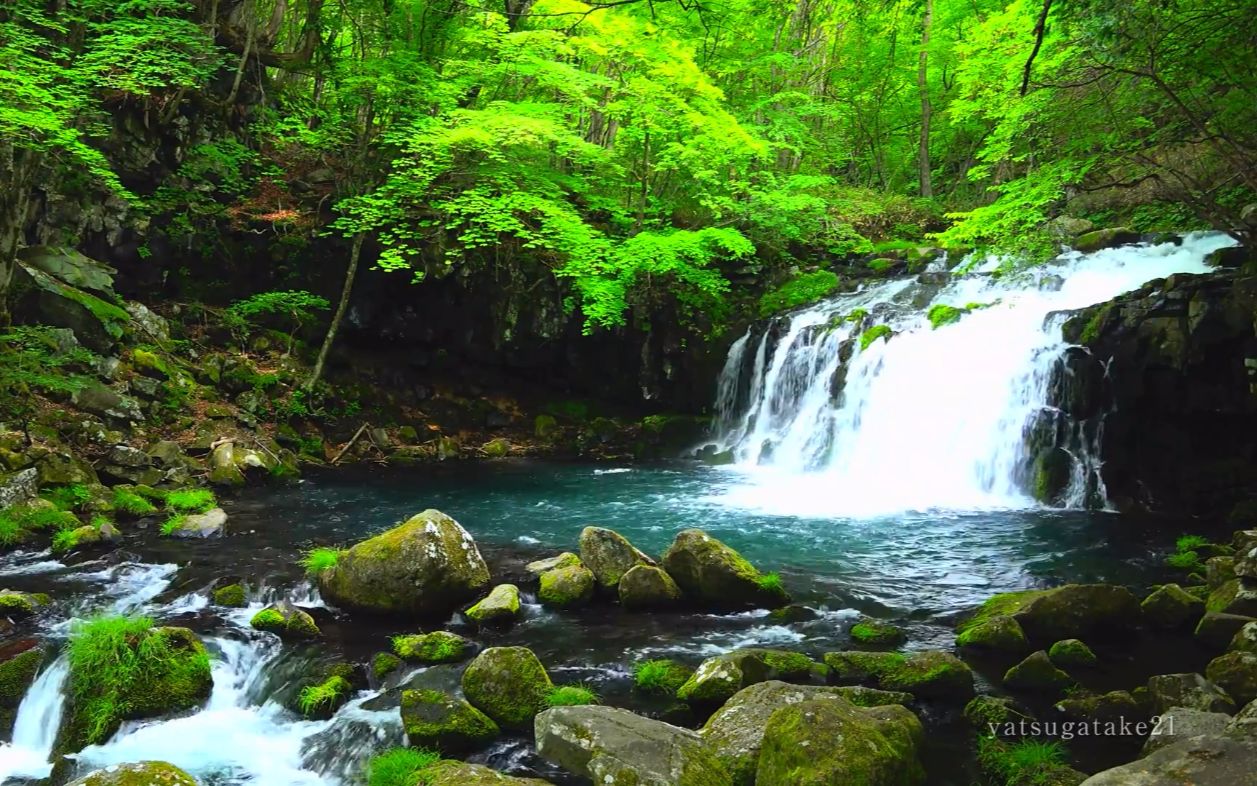 [图]【场景素材】日本长野蓼科高原の青山绿水...