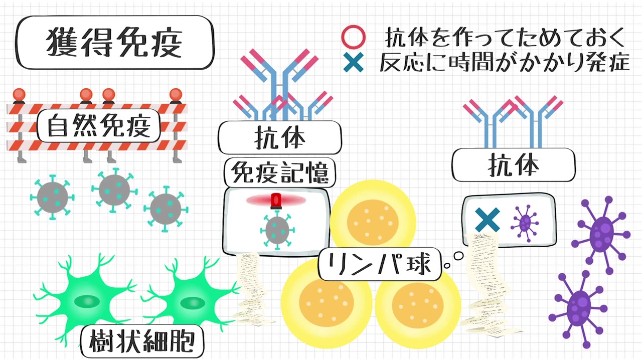 [图]【免疫力】免疫力を高めるために日頃からできる３つの心がけとは？