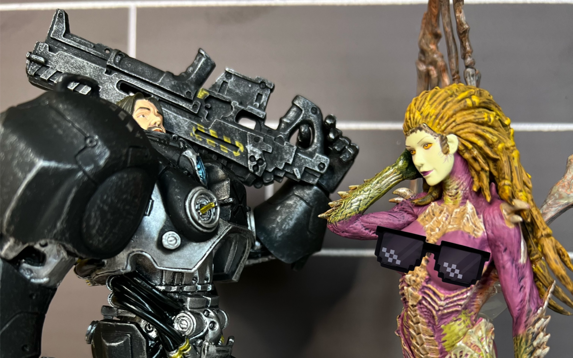 又来捡漏了星际2官版刀锋女王&雷诺