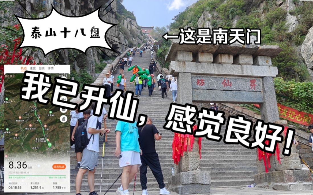 【Vlog】会当凌绝顶,一览众山小!挑战泰山红门玉皇顶经典徒步登山线!哔哩哔哩bilibili