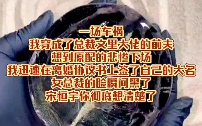 [图]一场车祸我穿成了总裁文里大佬的前夫想到原配的悲惨下场我迅速在离婚协议书上签了自己的大名女总裁的脸瞬间黑了宋恒宇你彻底想清楚了