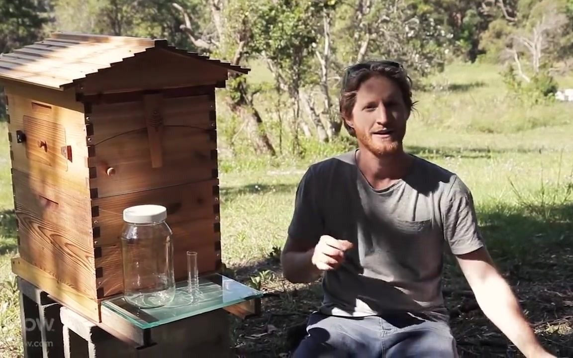 [图]Flow Hive honey harvesting 养蜂爱好者 很有意思的蜂箱 丁运忠养蜂场