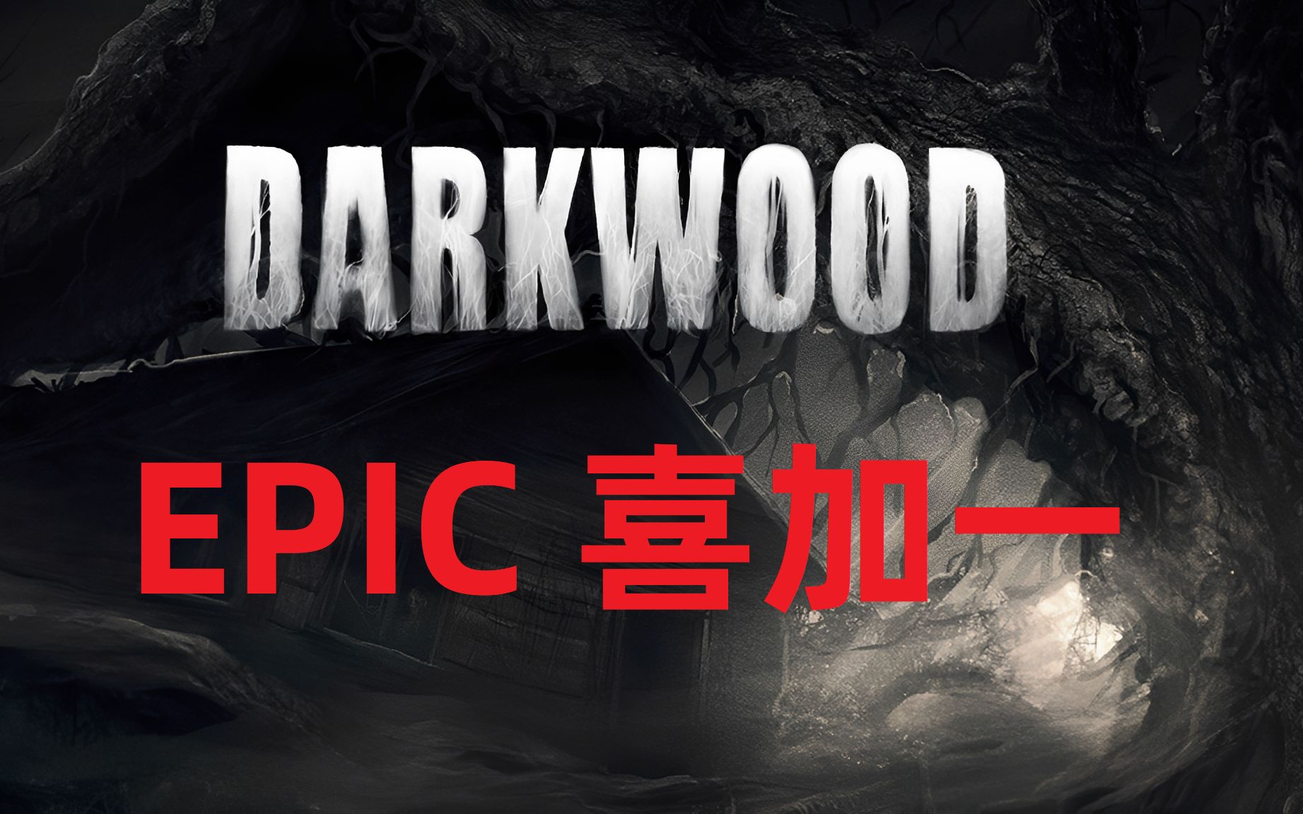 EPIC喜加一《阴暗森林(Darkwood)》2.5D暗黑生存游戏单机游戏热门视频