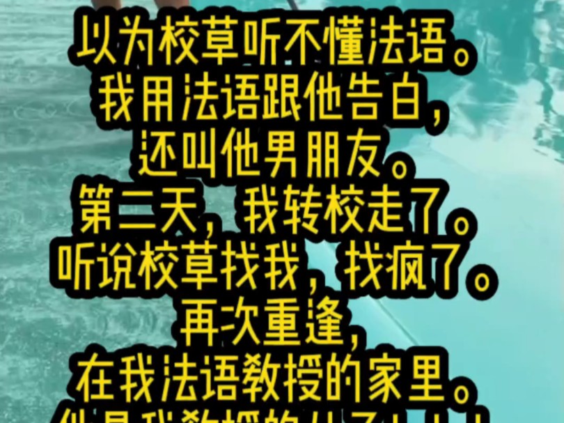 [图]《暗恋捣乱》以为校草听不懂法语。我用法语跟他告白，还叫他男朋友。第二天，我转校走了。听说校草找我，找疯了。再次重逢，在我法语教授的家里。他是我教授的儿子