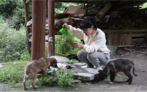 隐居深山，时光静且慢，就想这样慢慢老去