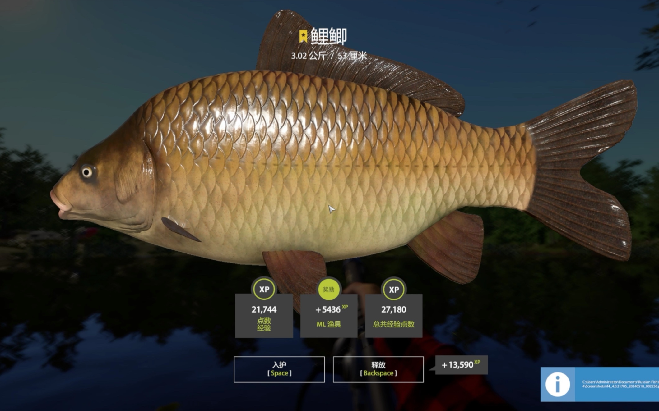 俄罗斯钓鱼4-记录上星29鲤鲫