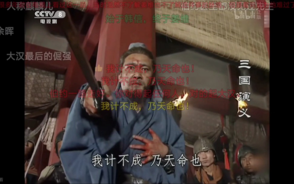 老将军,可知天水姜伯约