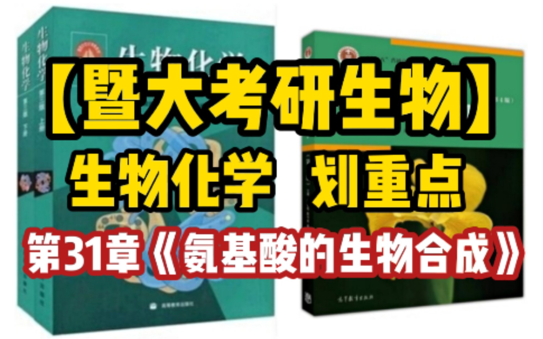 【暨南大学生物考研】生物化学划重点:第31章《氨基酸的生物合成》哔哩哔哩bilibili