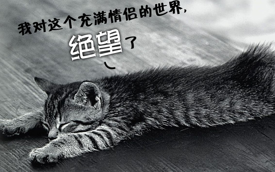 七夕前一天的告白气球,单身狗最后的倔强