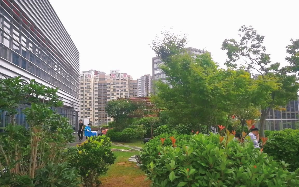 【散步vlog】|青岛/空中花园/小麦岛