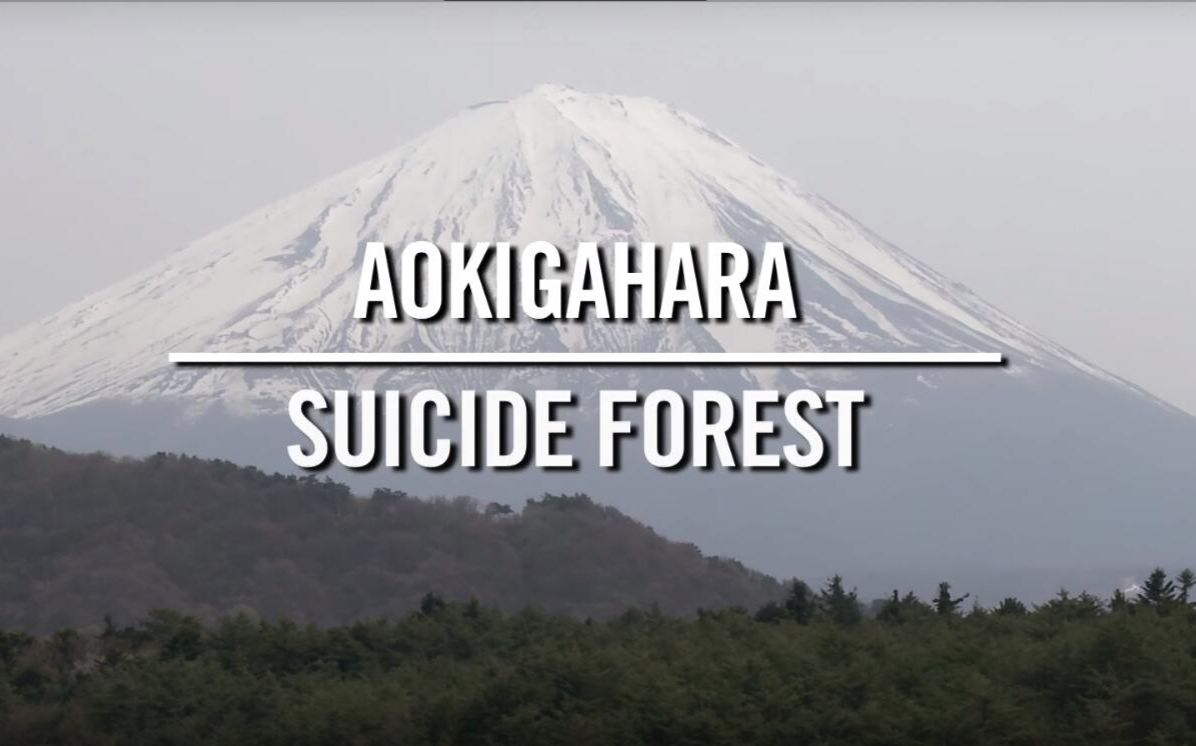 日本自杀森林 青木原树海 Suicide Forest in Japan哔哩哔哩bilibili