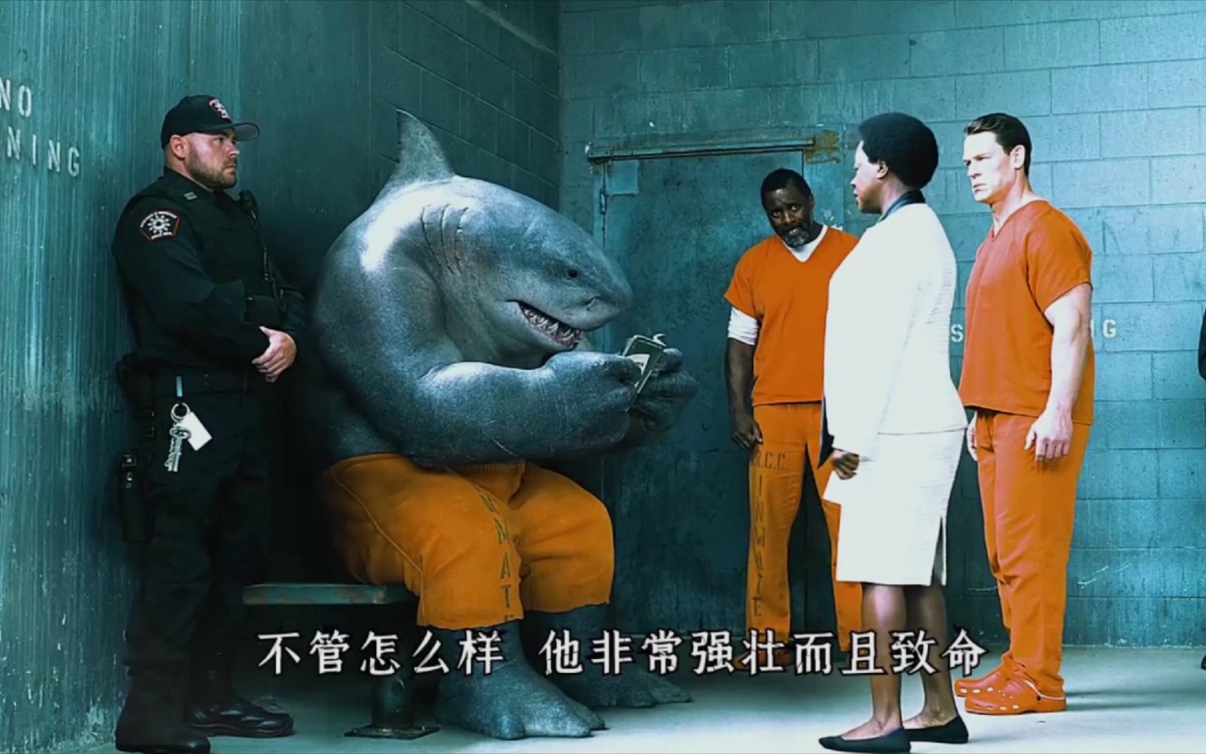 谁能拒绝一只贪吃又可爱的鲨鱼王呢? 鲨鱼王纳纳塞