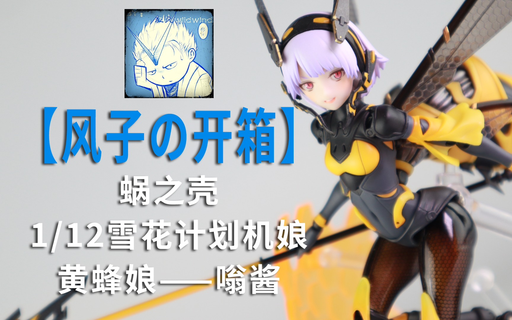 风子の开箱针不戳还是针失望蜗之壳黄蜂娘嗡酱开箱分享