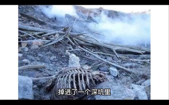 [图]恐怖片寂静岭，真实原型竟然是漂亮国森特勒利亚小镇。