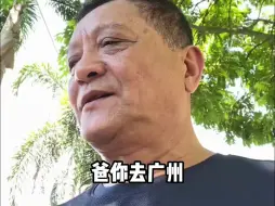 Download Video: 广州的建筑确实给我60多岁的老父亲上了一课