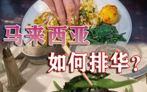 Descargar video: 马来西亚“排华”排出新花样，用手吃饭的民族，贬低别人用筷子！