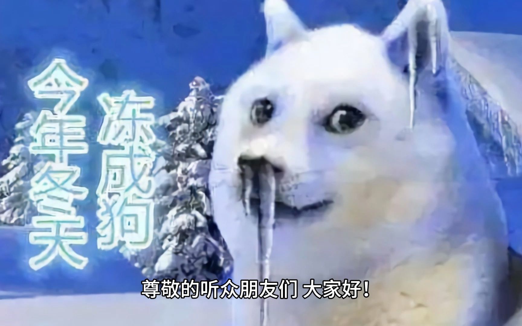 我在南方被冻成狗,你们呢!