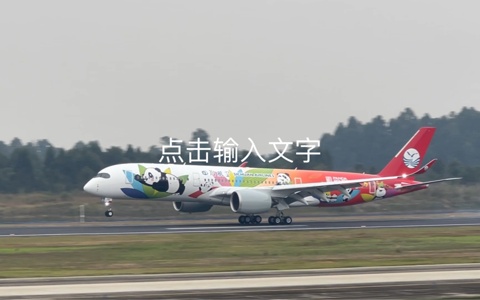 川航a350熊猫 班次图片