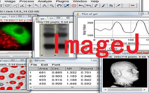 [图]ImageJ 手册