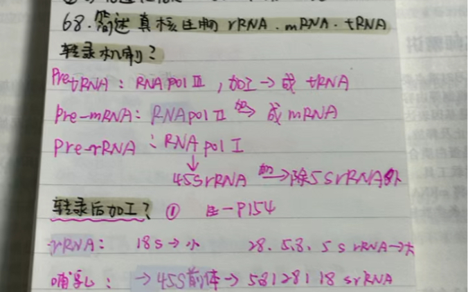 分子生物学简答RNA拼接原理+真核生物中各种RNA转录后加工的机制哔哩哔哩bilibili