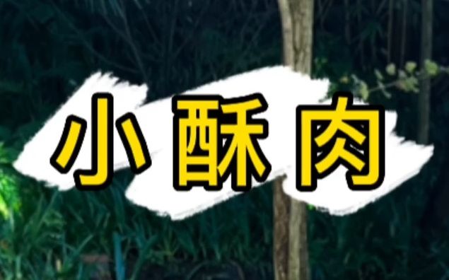 今天这道小酥肉完整配料已整理在视频中,记得收藏起来,空了在家轻松做!哔哩哔哩bilibili