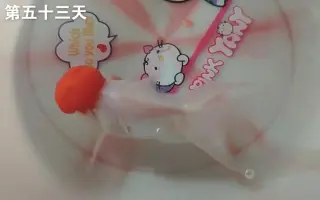 红黄粉 搜索结果 哔哩哔哩 Bilibili