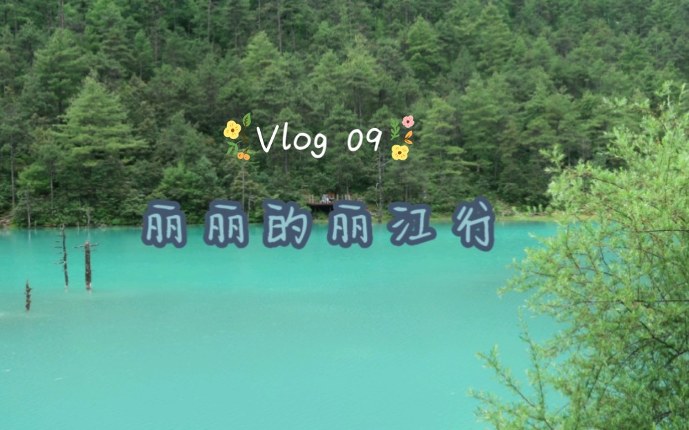 【Vlog 09】天气甚好,一起去丽江看看蓝天白云如何/丽江古城&玉龙雪山哔哩哔哩bilibili