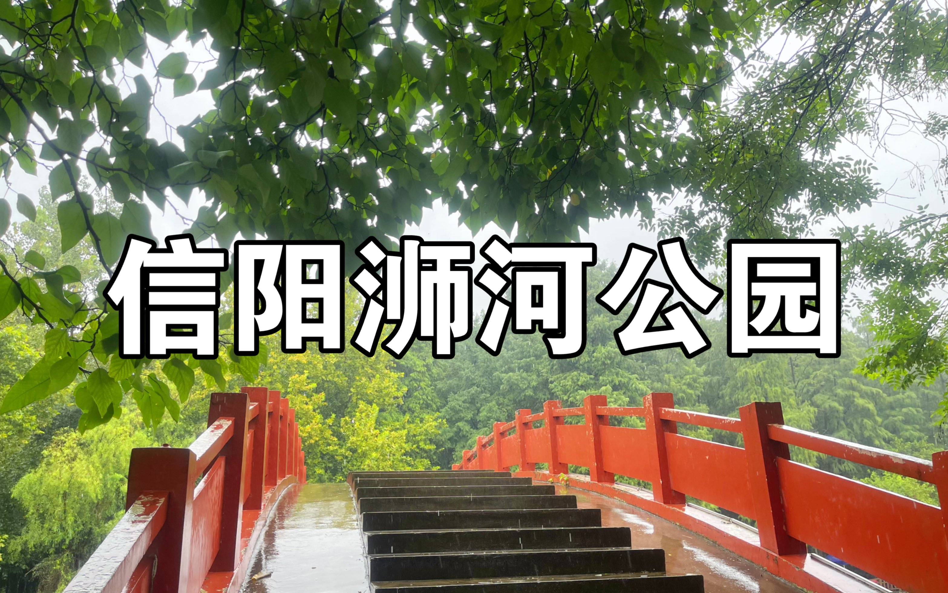 【信阳浉河公园】清风湿润,小雨连绵,初秋听雨声声落!