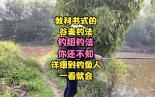 Tải video: 教科书式的谷麦钓法，钓组钓法你还不知，详细到钓鱼人一看就会