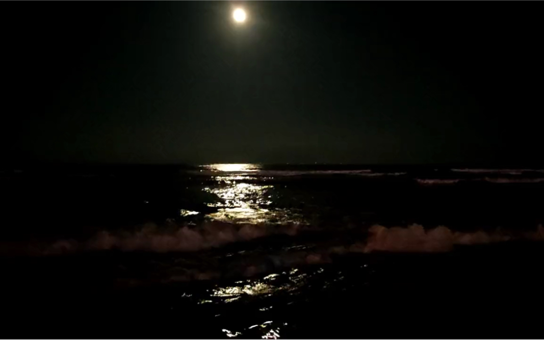 大海夜景图片真实照片图片
